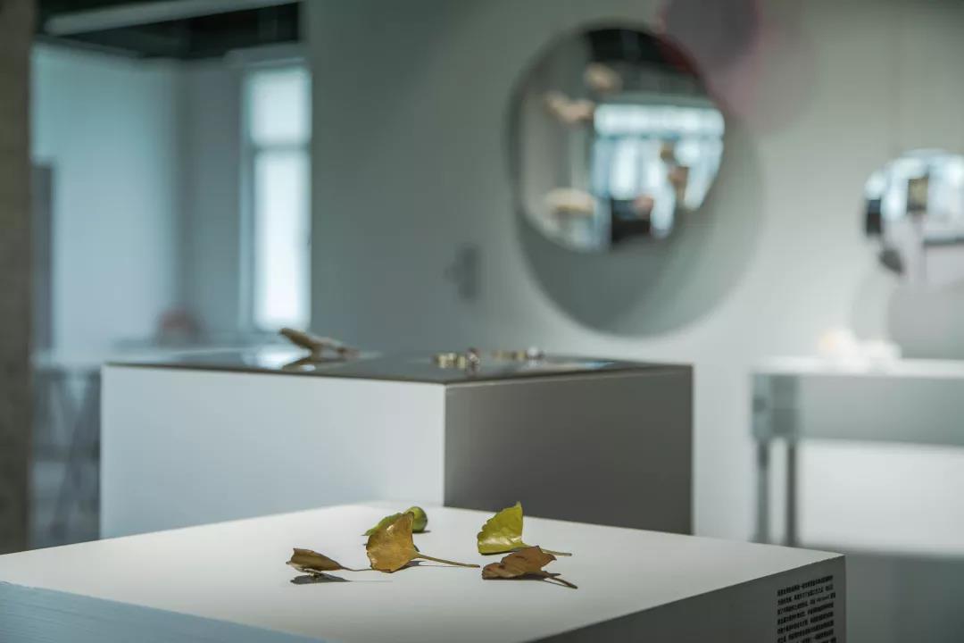 學生作品展覽空間