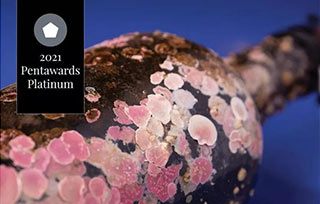 2021年“包裝設計奧斯卡”揭曉，全球最佳的8款作品長什么樣？