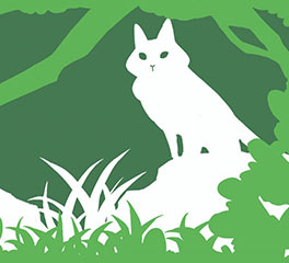 沈姝含 插畫設計 本科預科