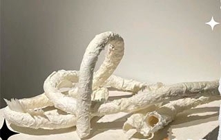 格拉斯哥純藝錄取丨人類有“殼”嗎？我們又如何識別“人類”？